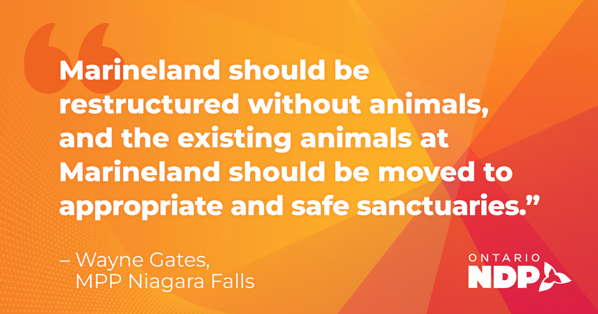 Gates Marineland needs a new path forward without animals « Ontario NDP